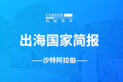 &#20975;&#21457;&#75;&#56;GO GLOBAL | 沙特阿拉伯国家简报